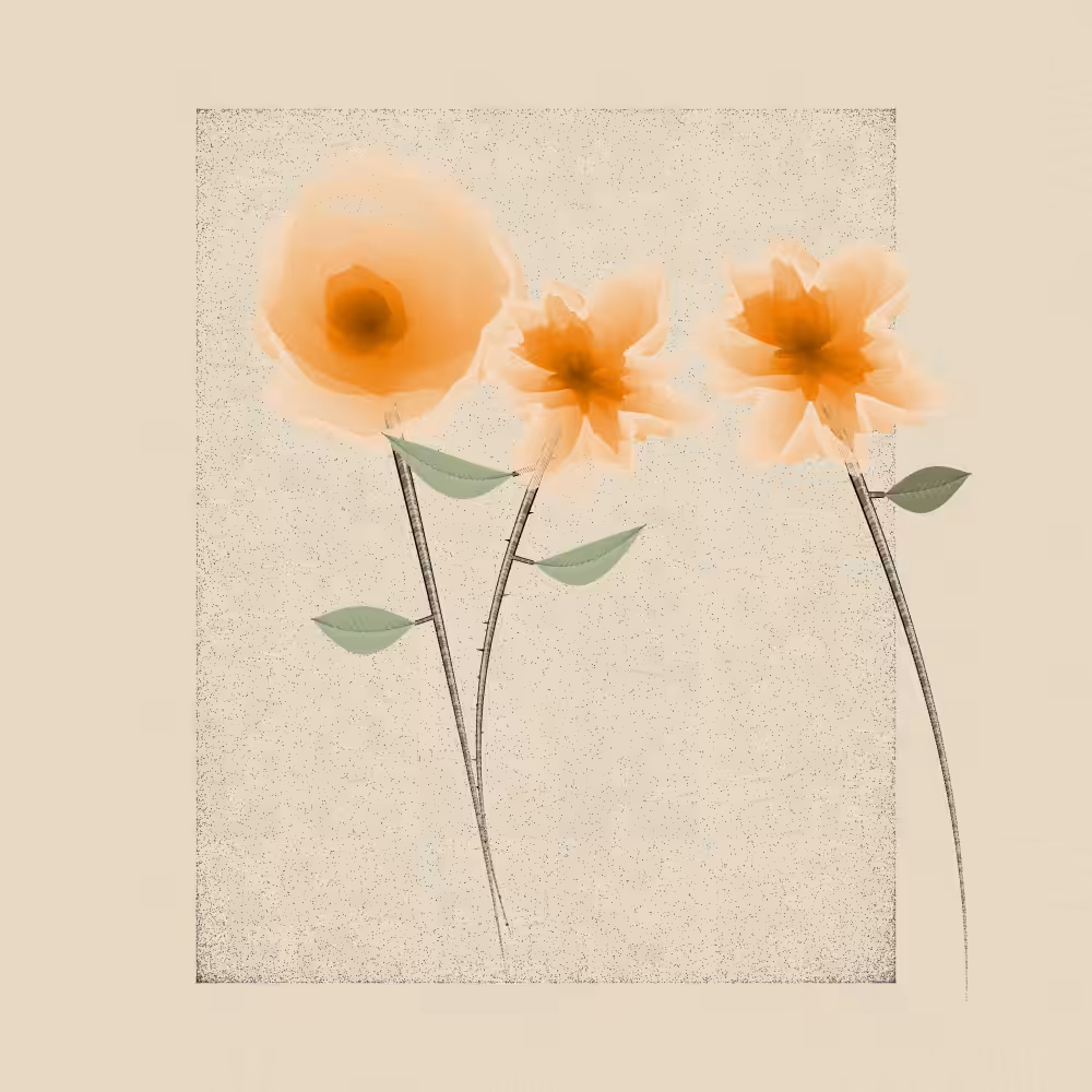 Magnolia #15