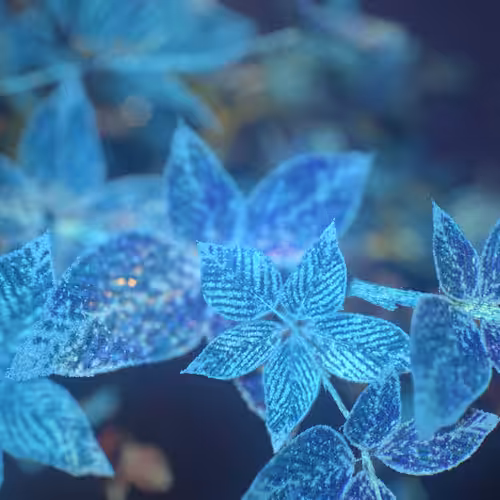 Frozen leaves