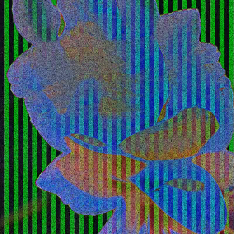 CLDCSMC #175
