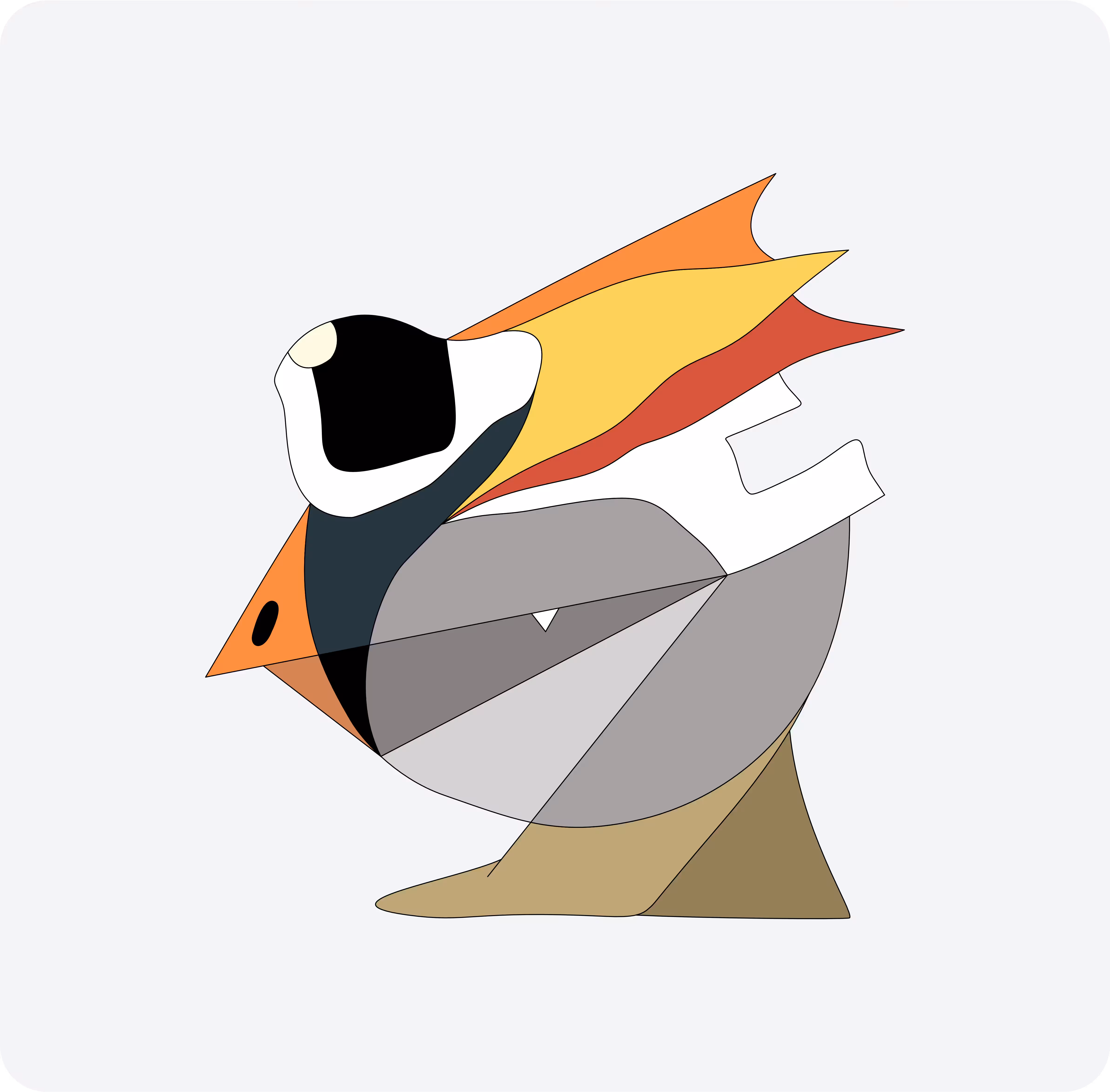Birderro