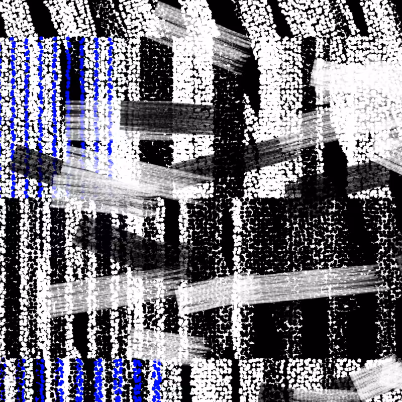 Urban Disorderly #251