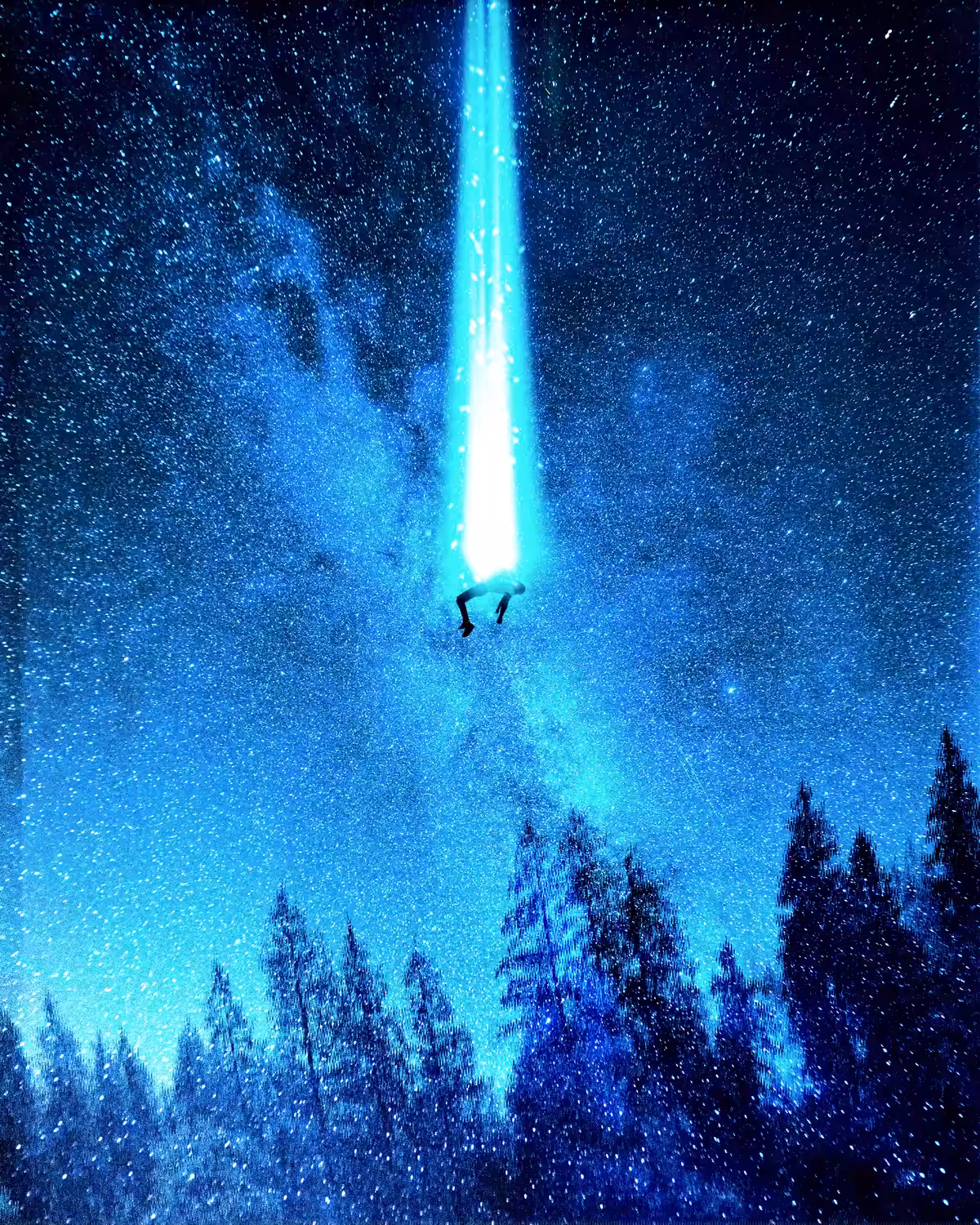 THE ABDUCTION