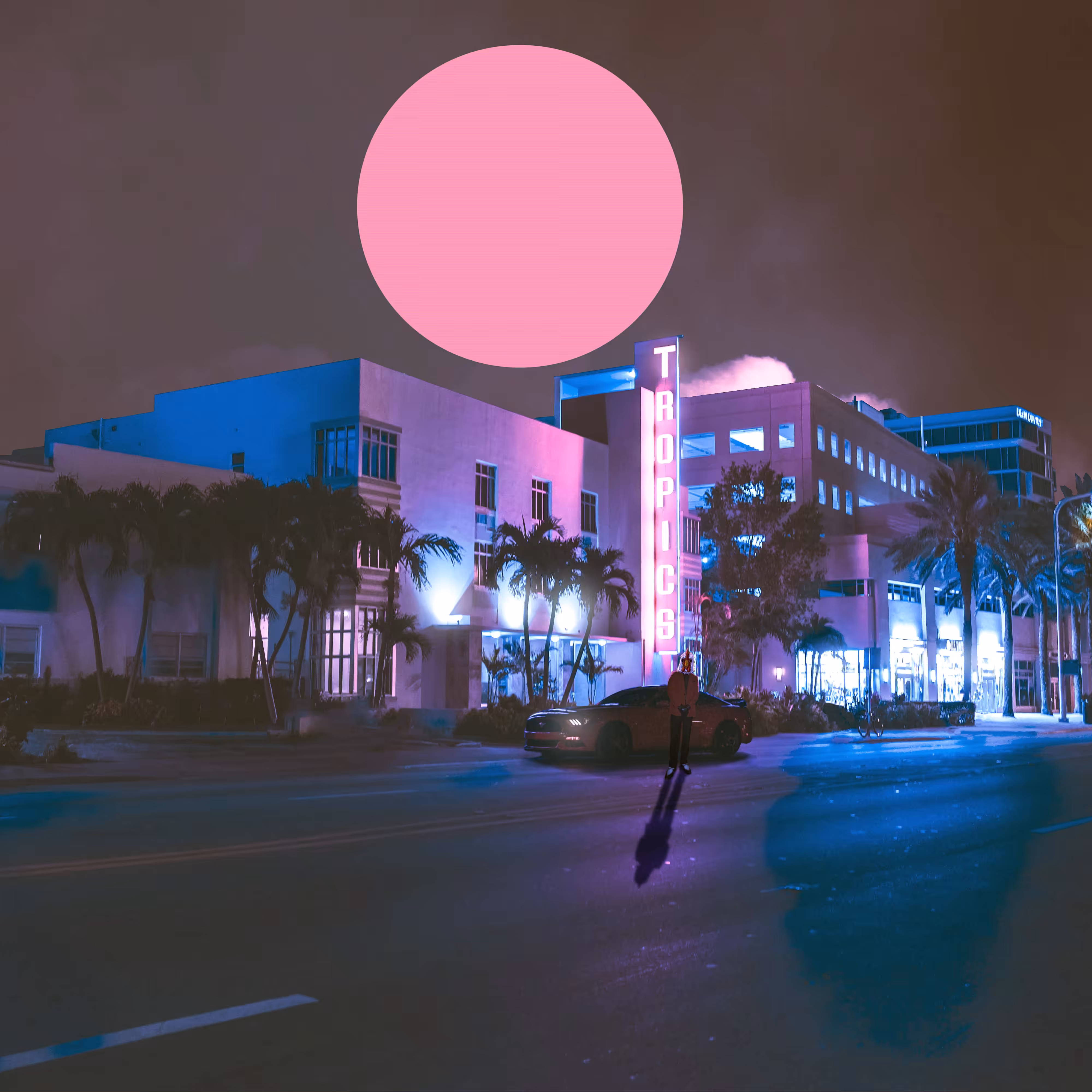 Midnight Animal II