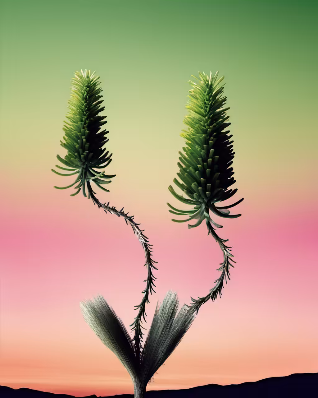 The Flora #1