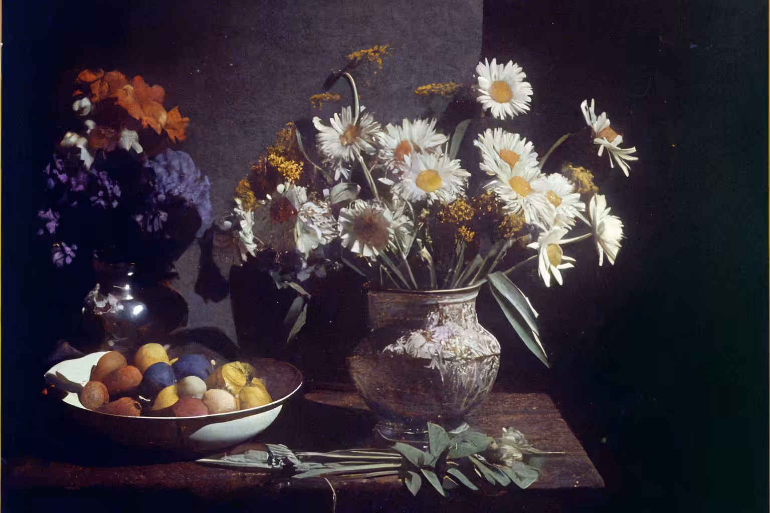 Flora Arrangement, Autochrome, 1919