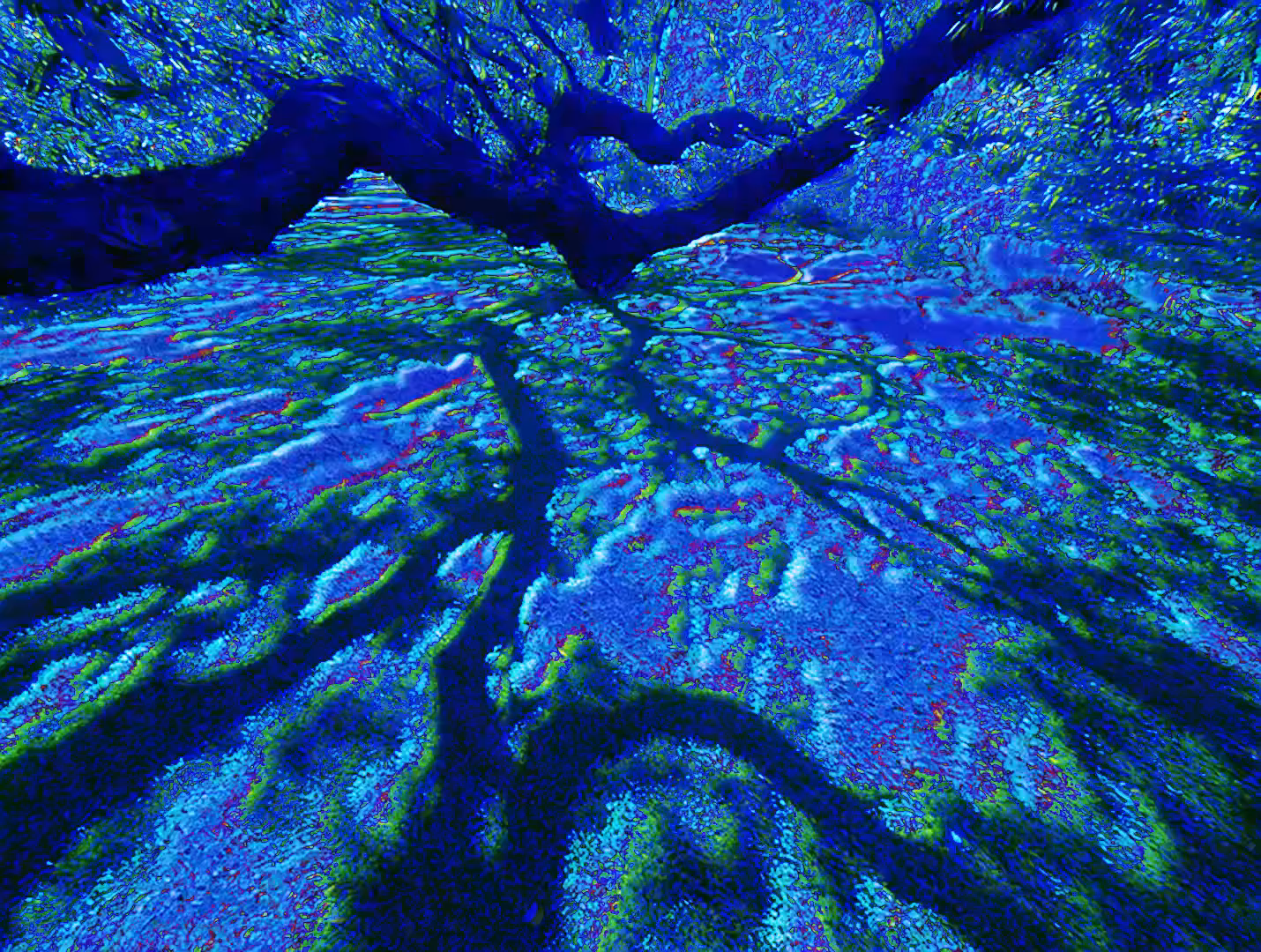 Caeruleum Nox