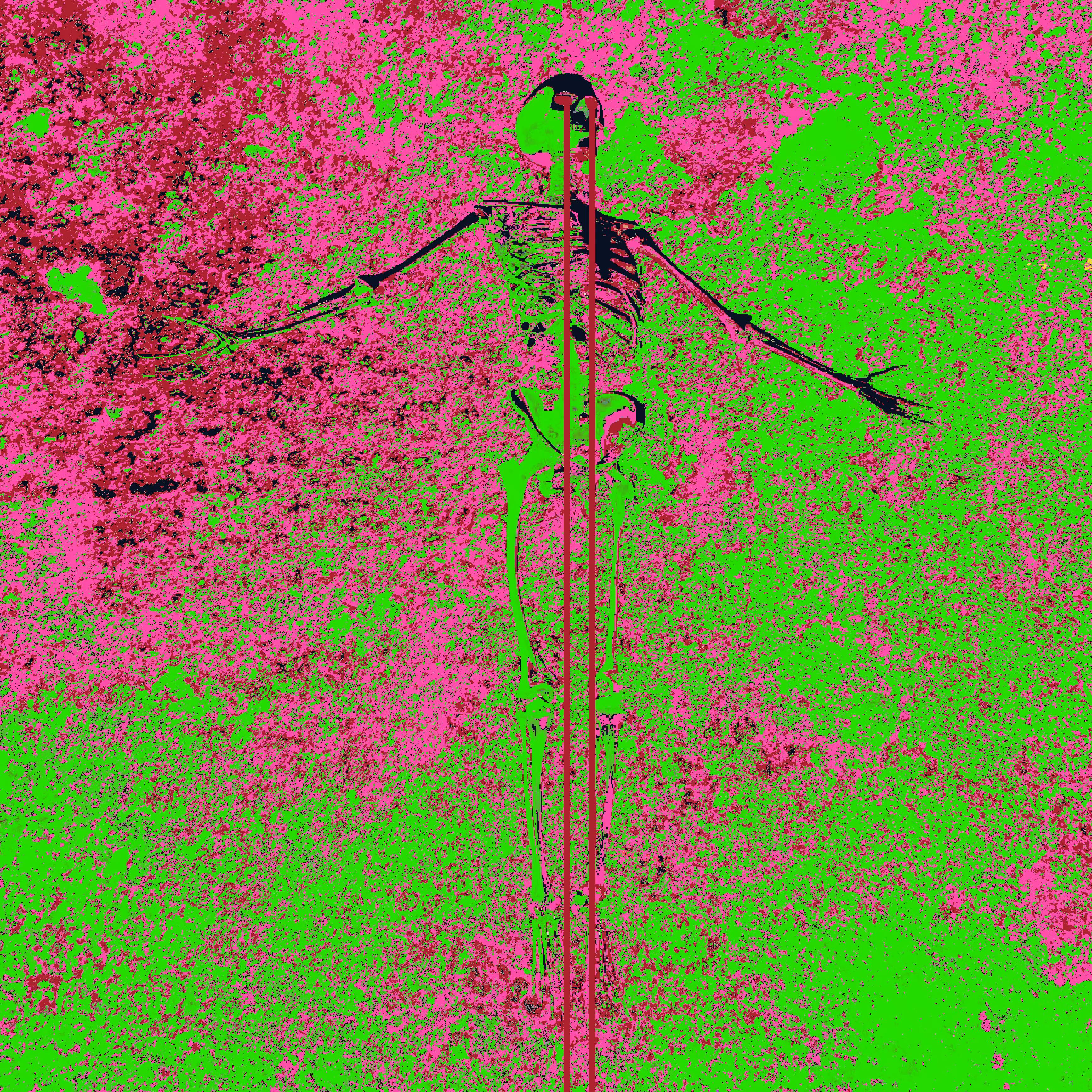 Camouflage
