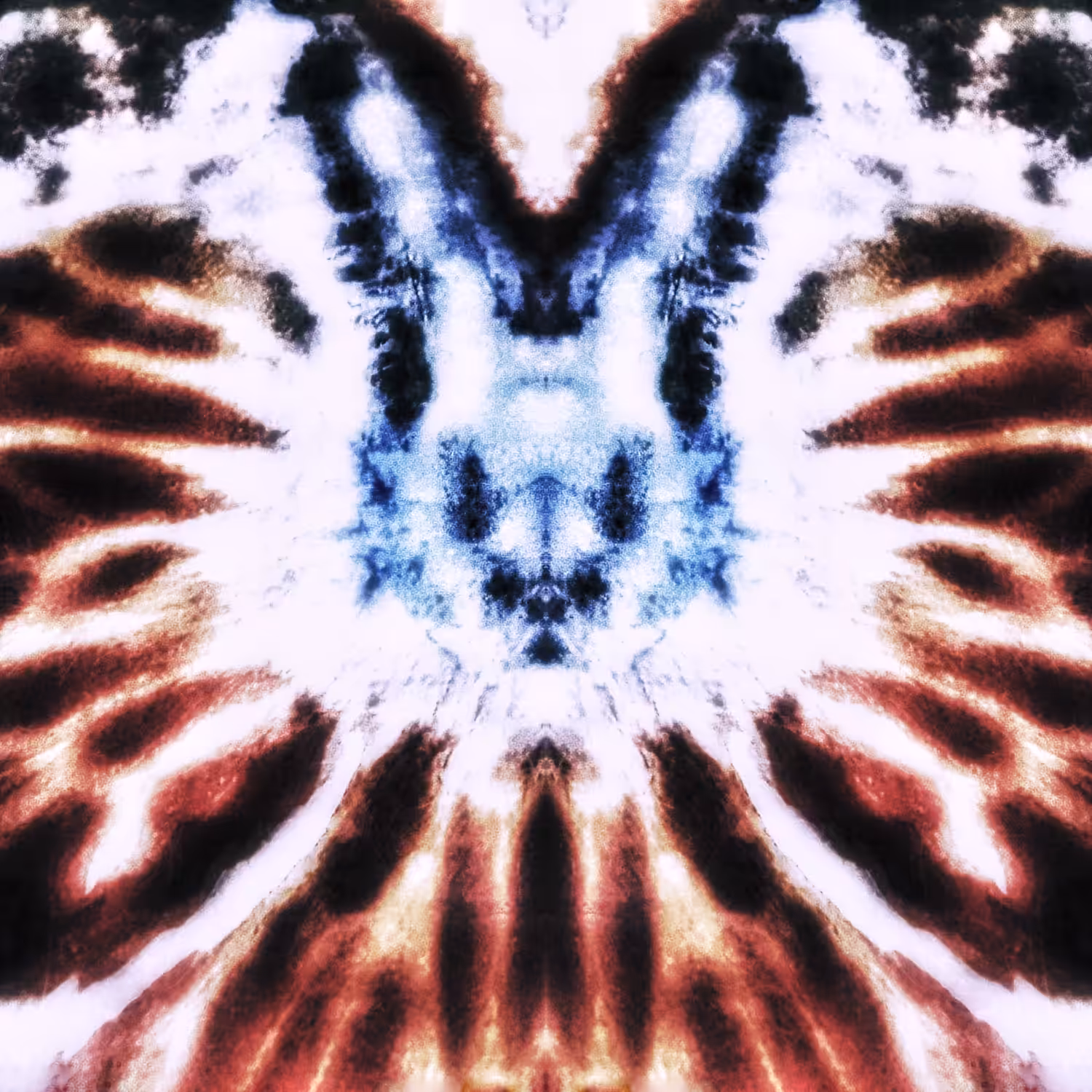 The Rabbit