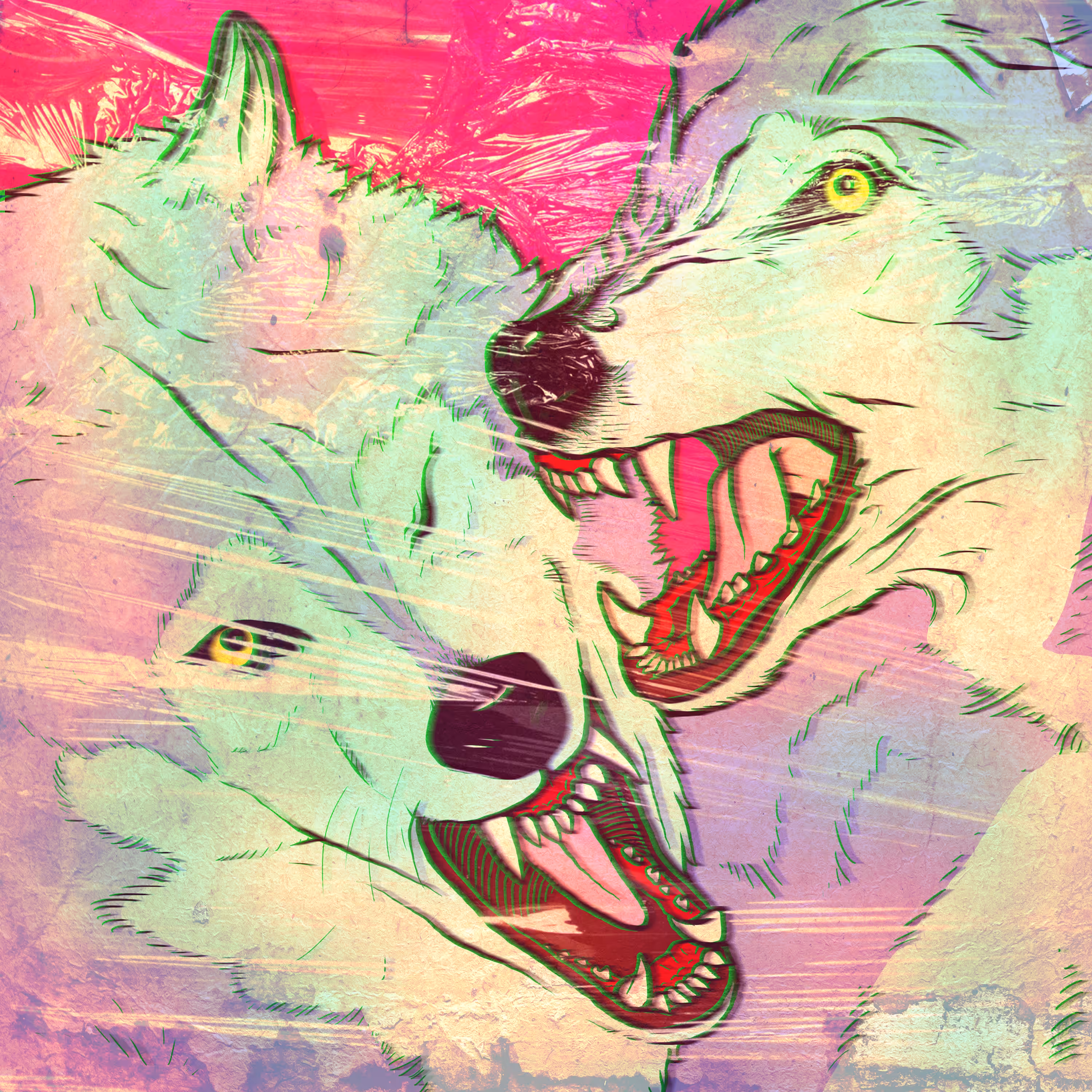 YOU TOO WILD