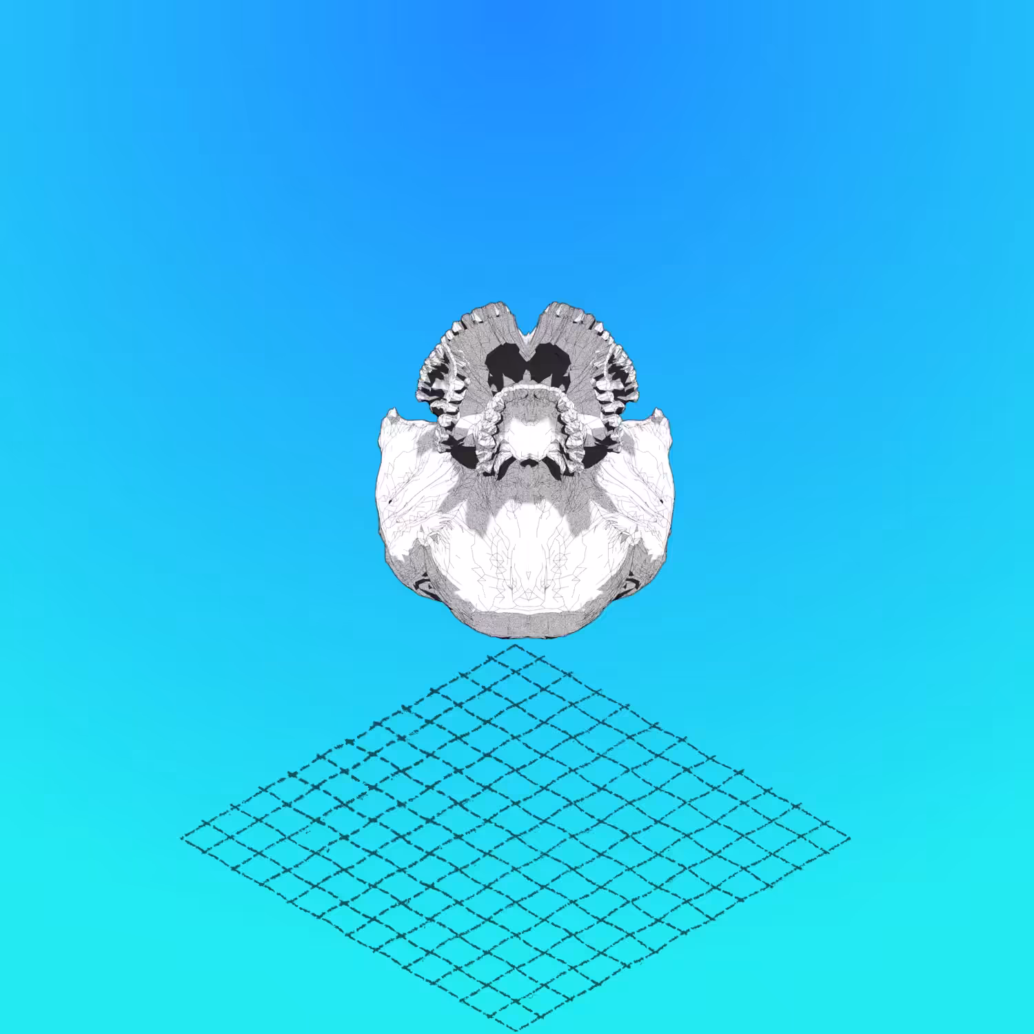TOTEM 003_ Gestation