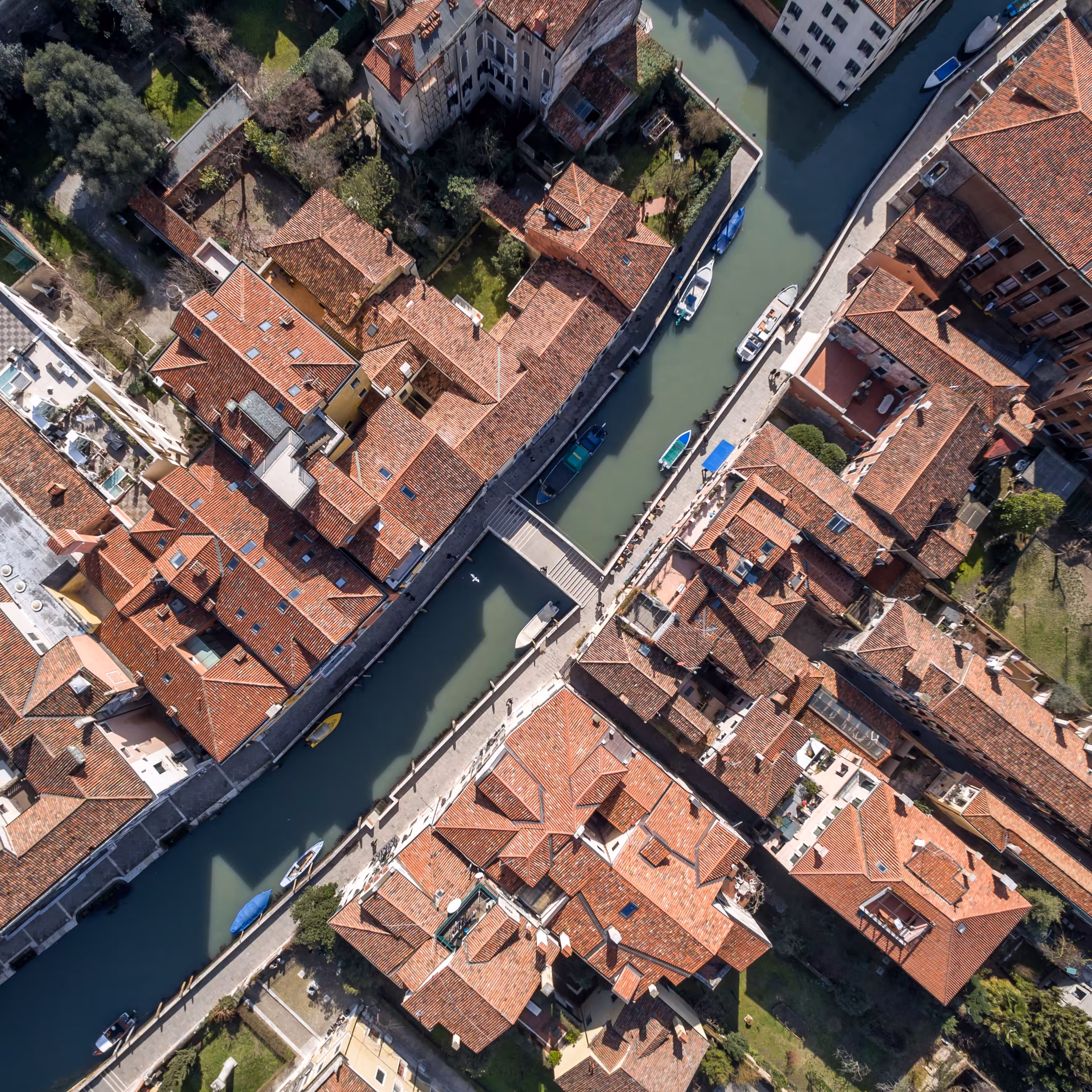 Crossings (Venice) 20/25