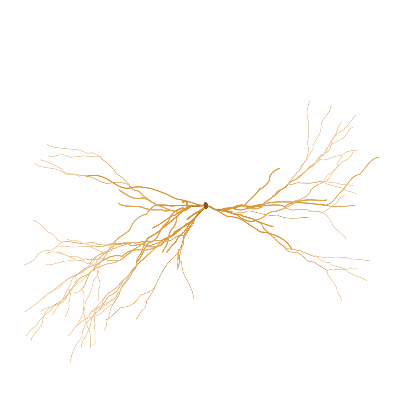 Ghost Forest Seedlings: Ghost Forest Seedling #234