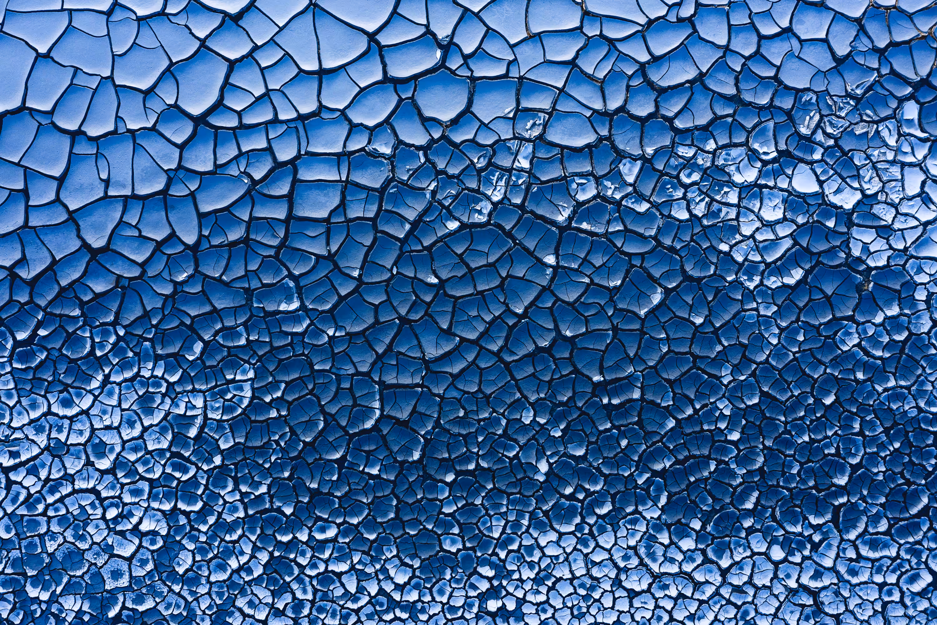 Earth Canvas #12