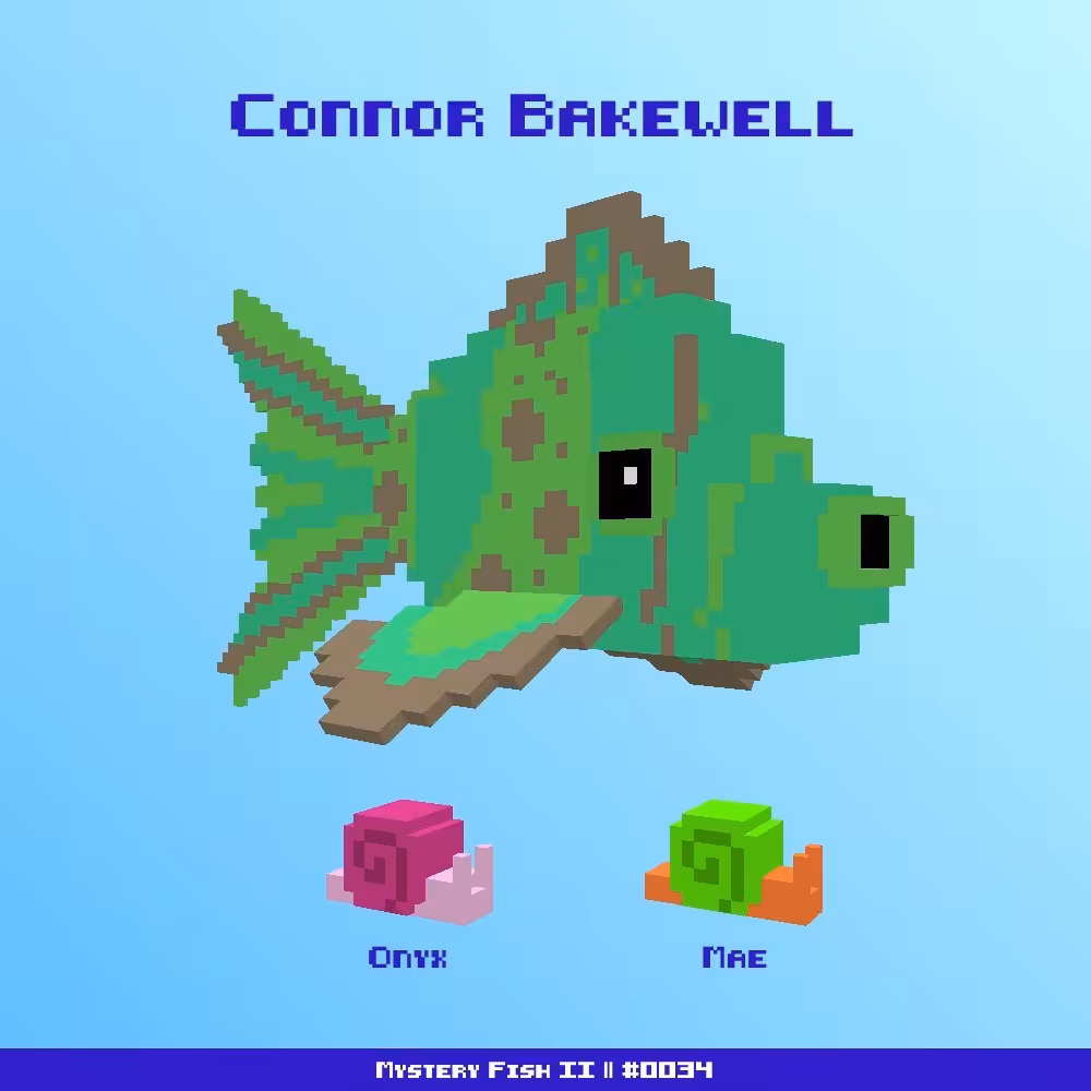 Connor Bakewell :: Mystery Fish 0034/1000