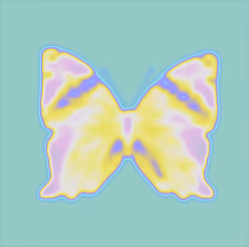 CryptoButterfly 6