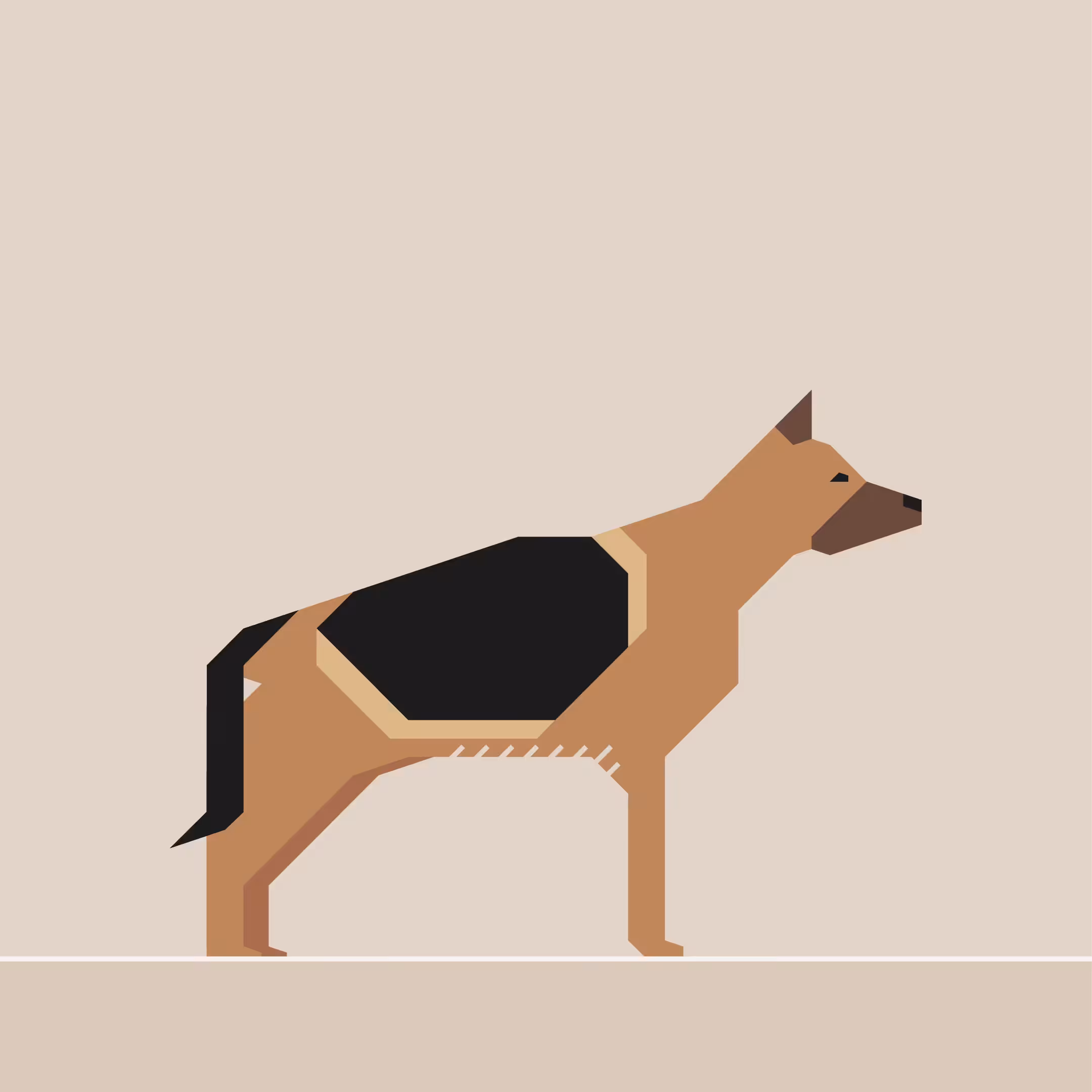 German Shepherd
