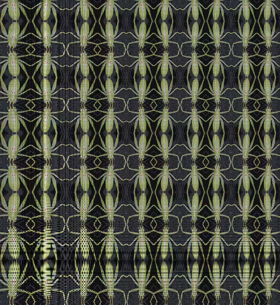 Bush Cricket Field