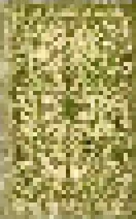 Rug #58