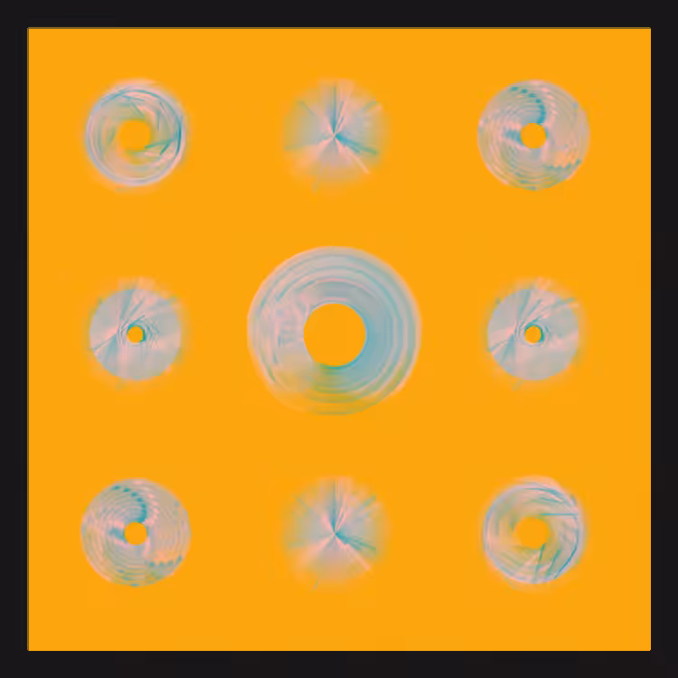 Spiny Spinners #19
