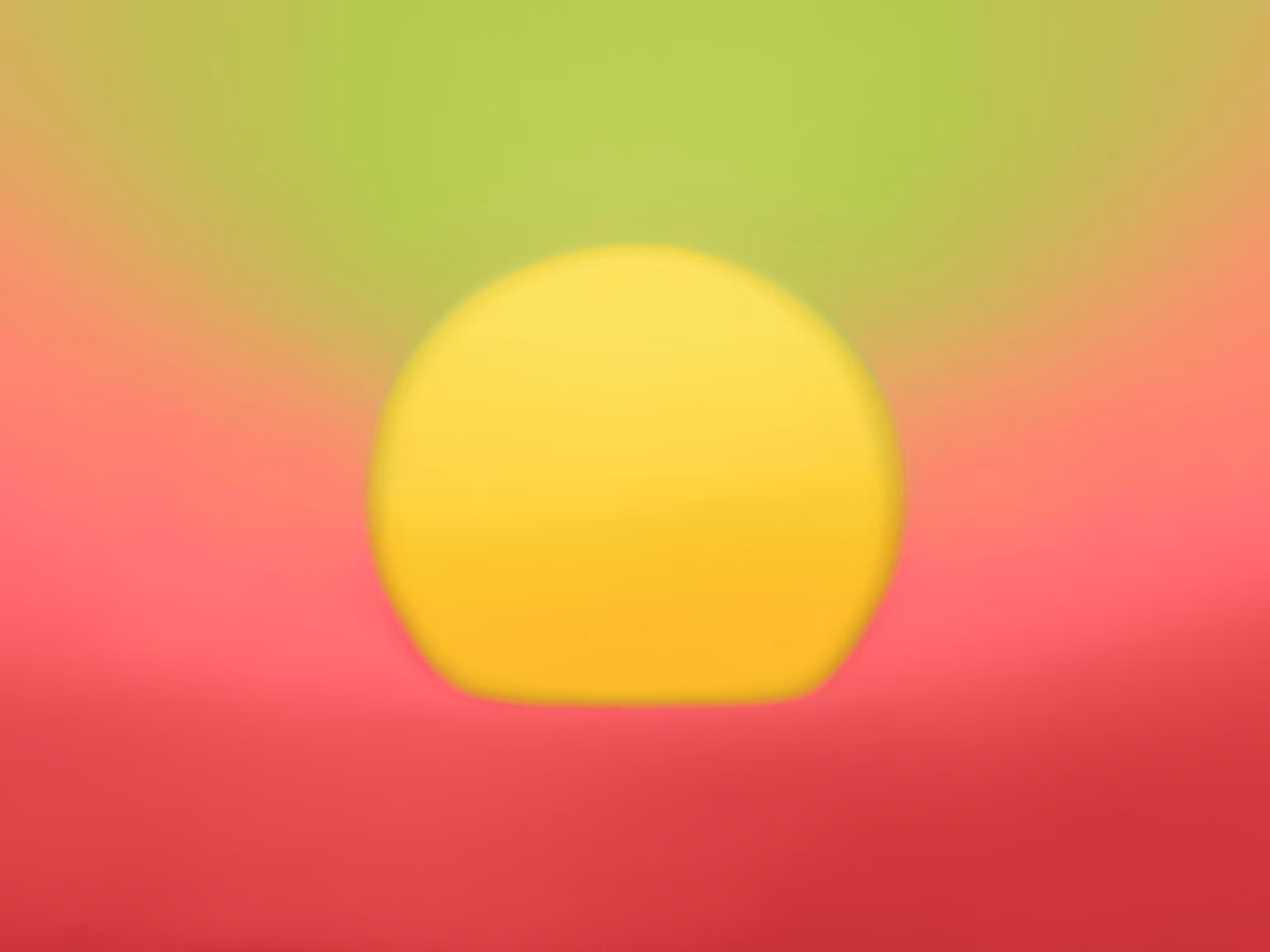 GM Sunshine No24