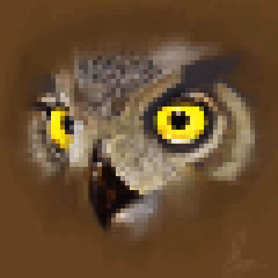 Spotted Eagle Owl - Pixelated