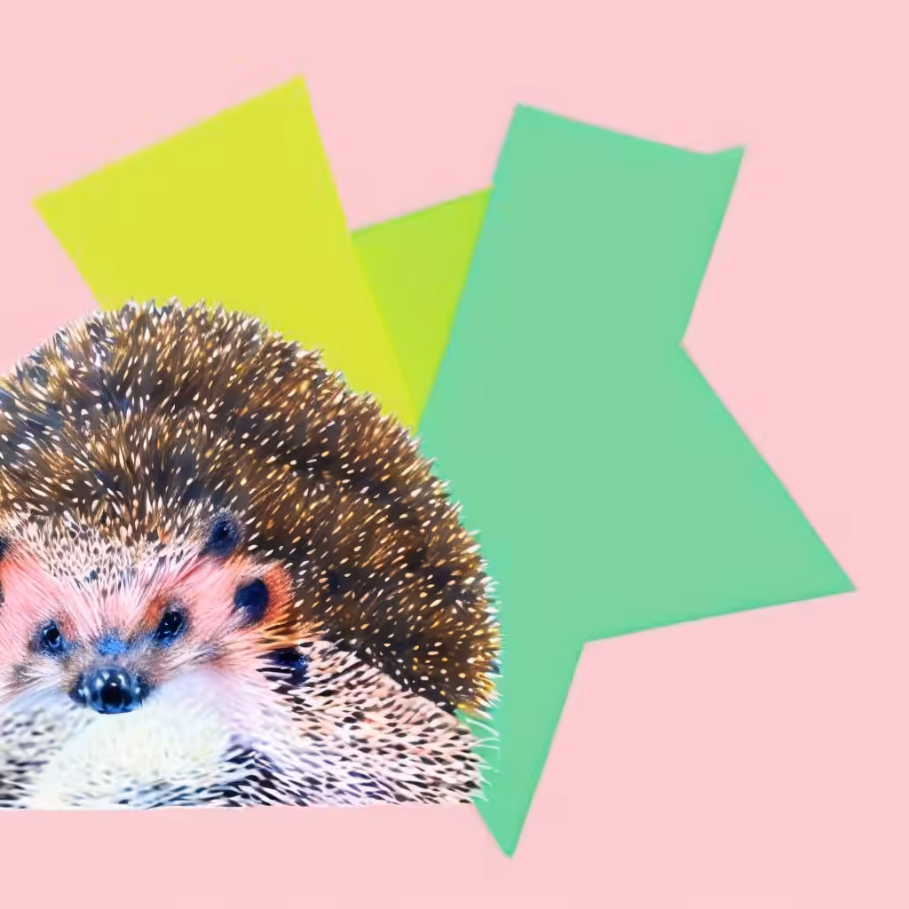 animalminimal #31