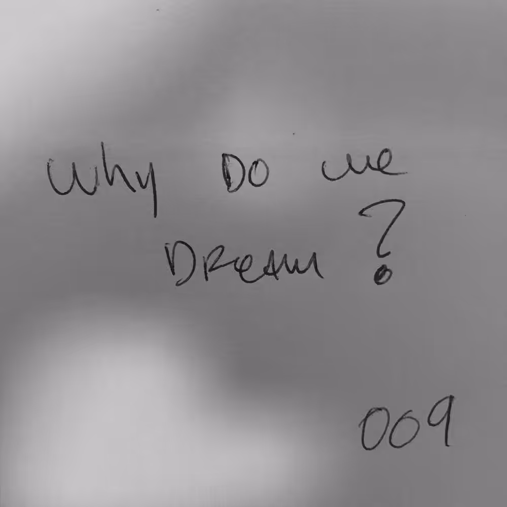 009: why do we dream?