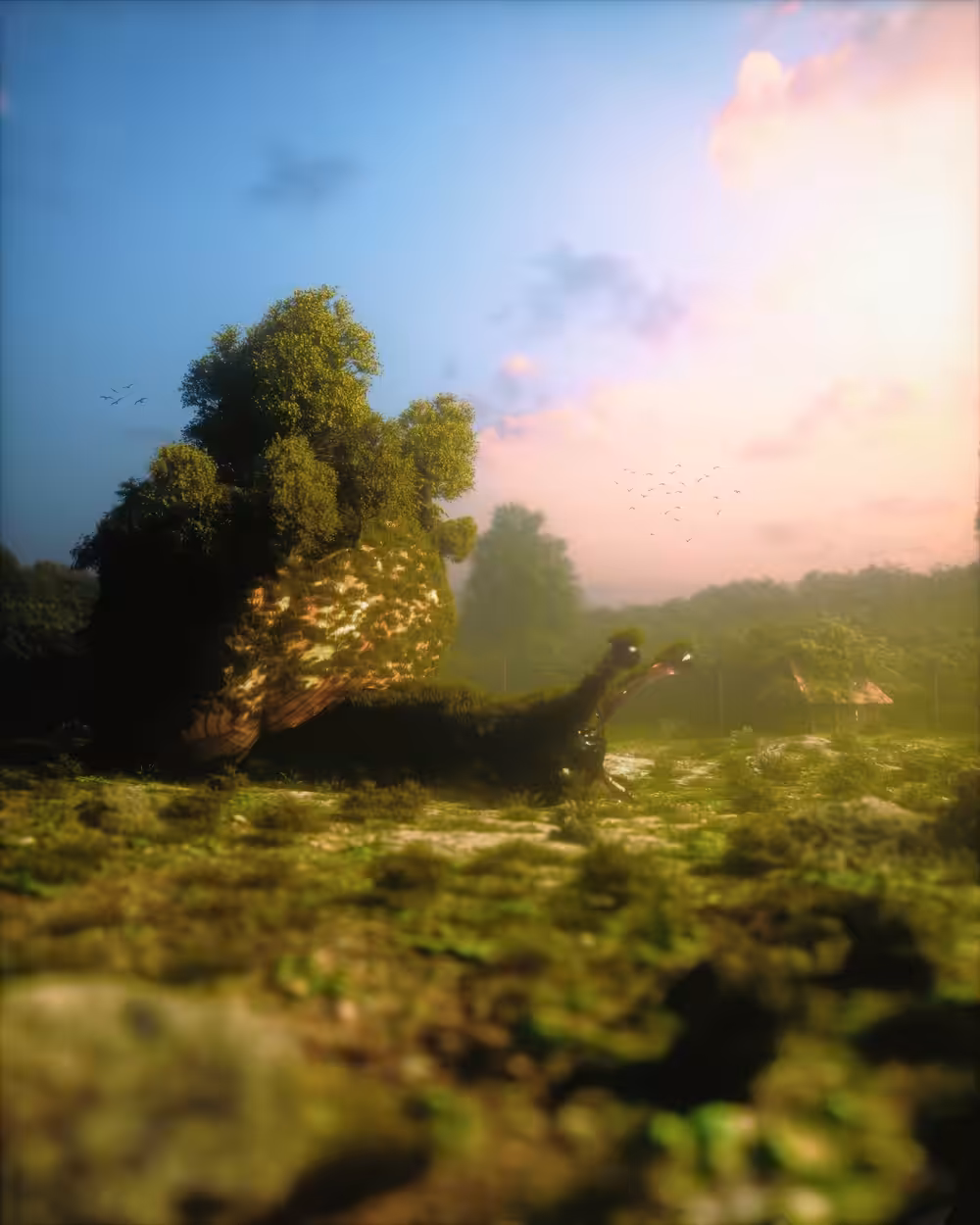 Wetlands