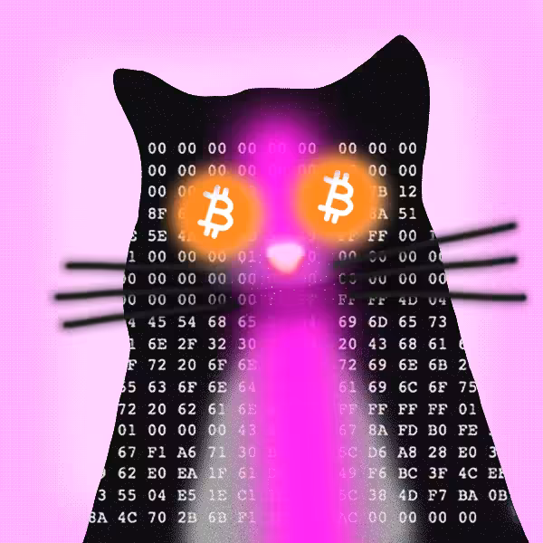 Quantum Cats #3239