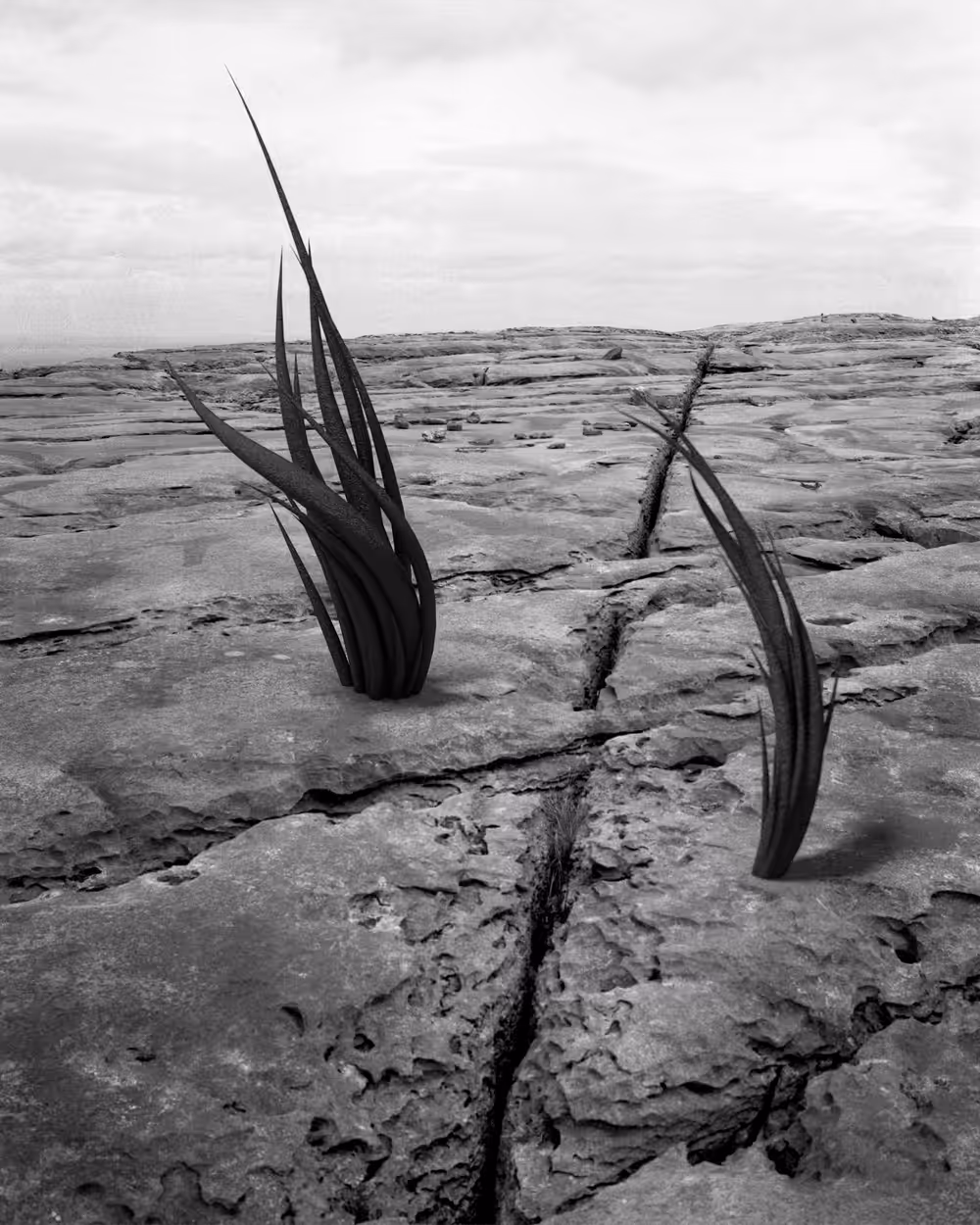 Perceived Landscape #2