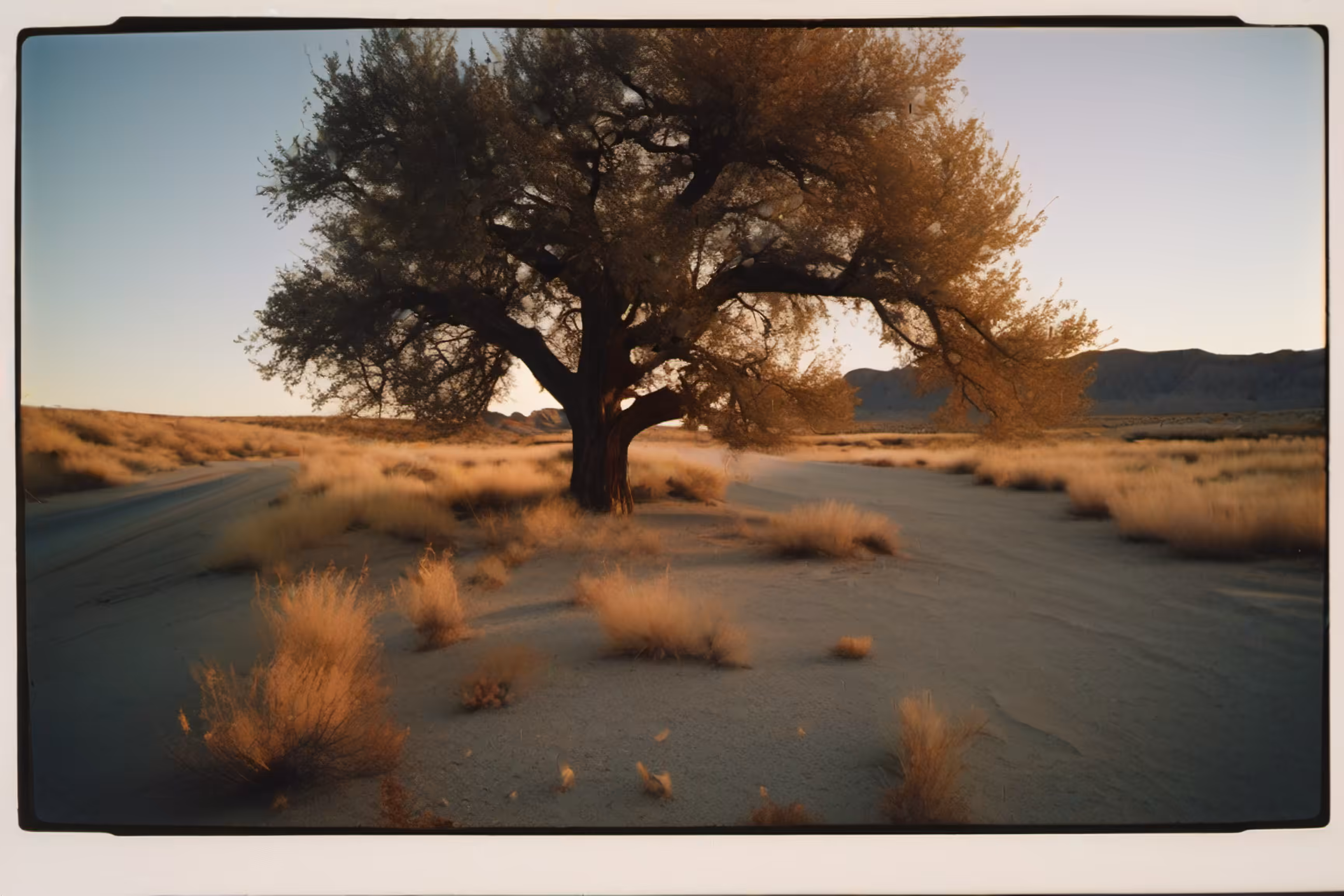 Lonely Landscapes #140