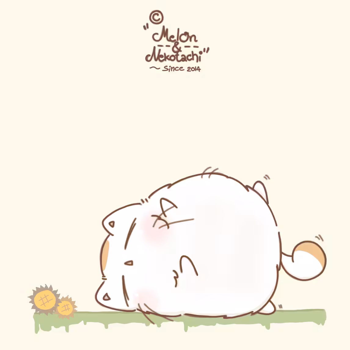MelOn on the ground