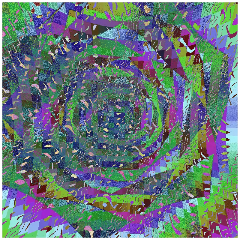 rosette #207