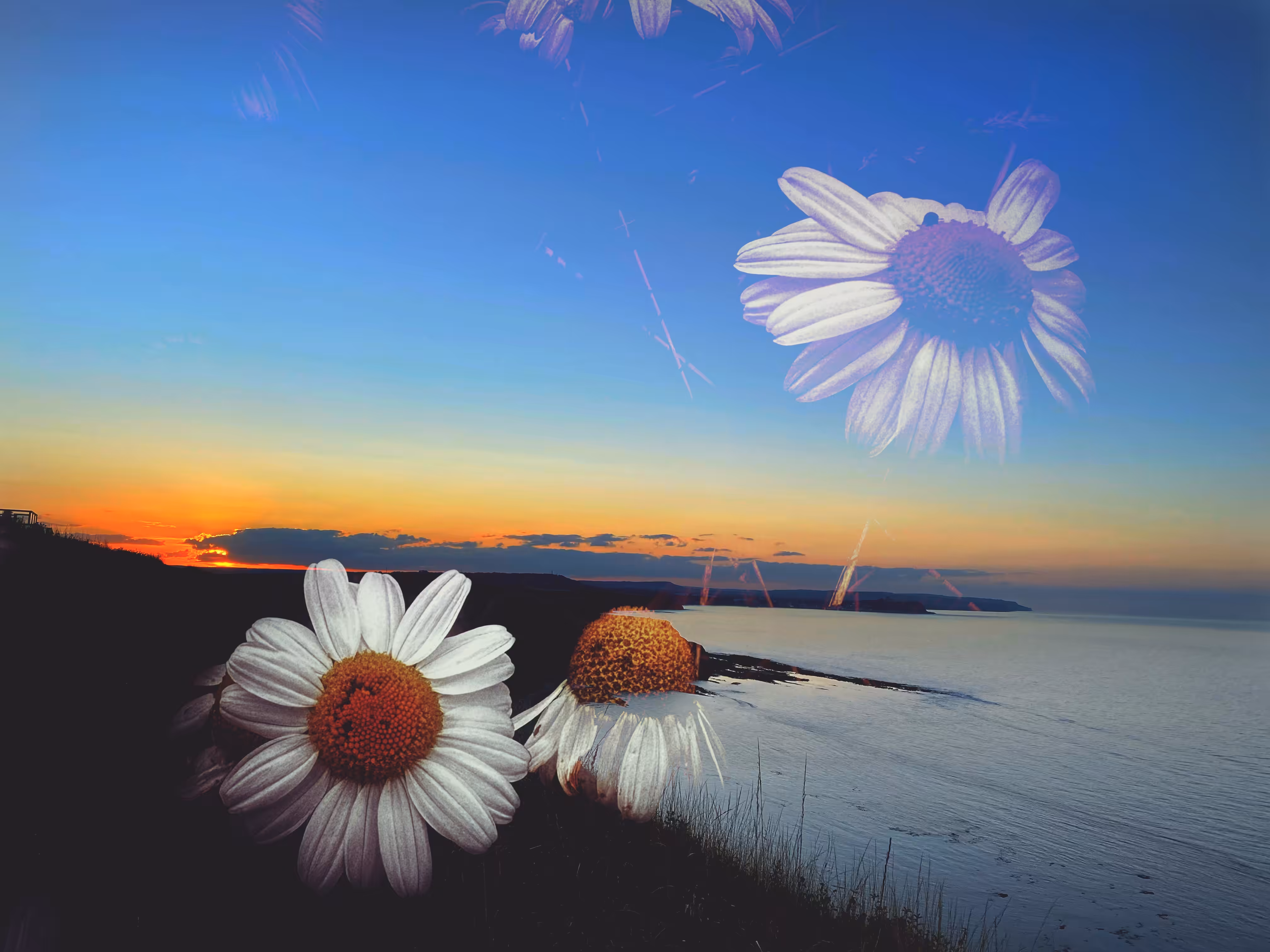 Sunset Harmony