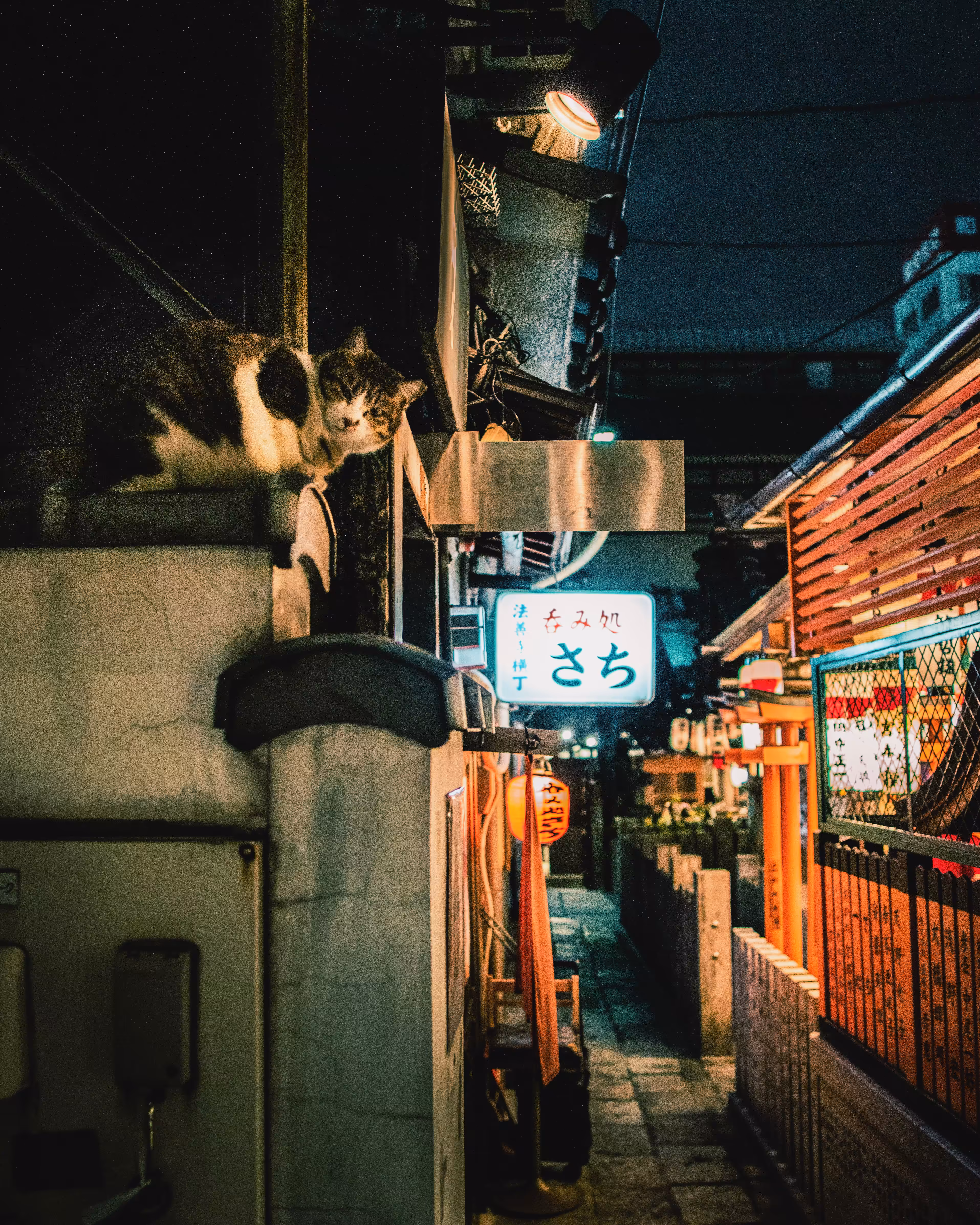 Maneki Neko