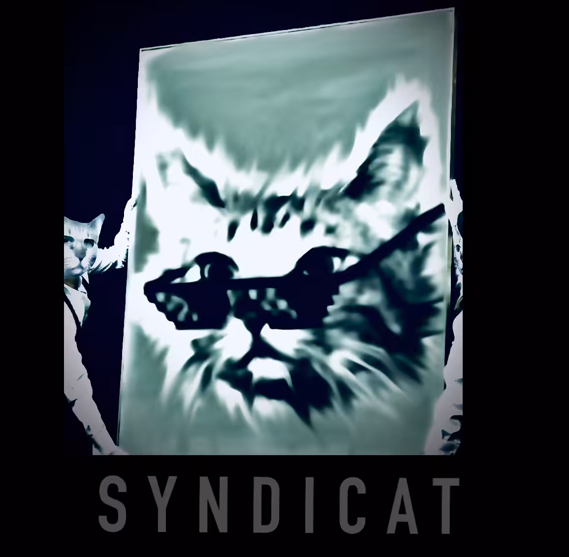 . CATOSHI SYNDICAT . AT THE GALLERY .