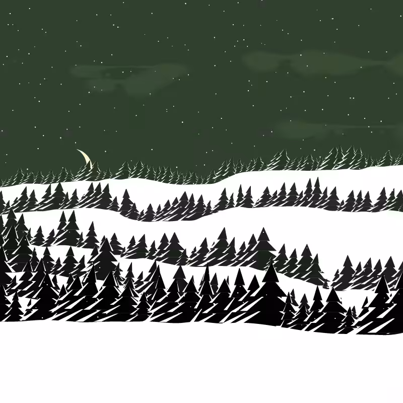Winterland #78