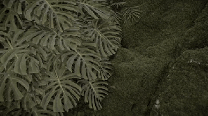 Virtual Phenomenology 169
