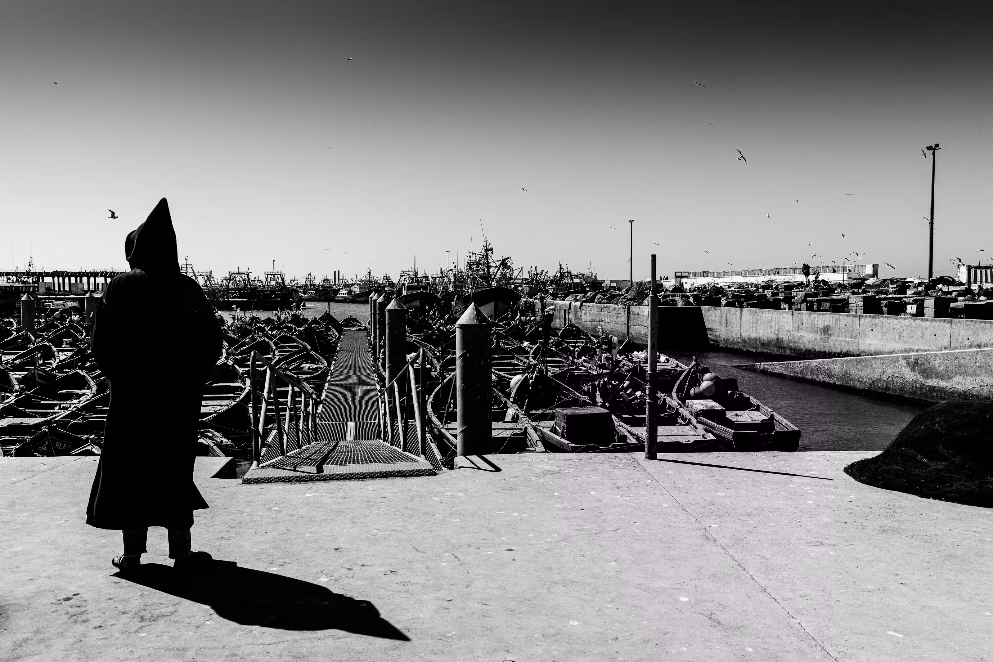 At the Port of Essaouira #5