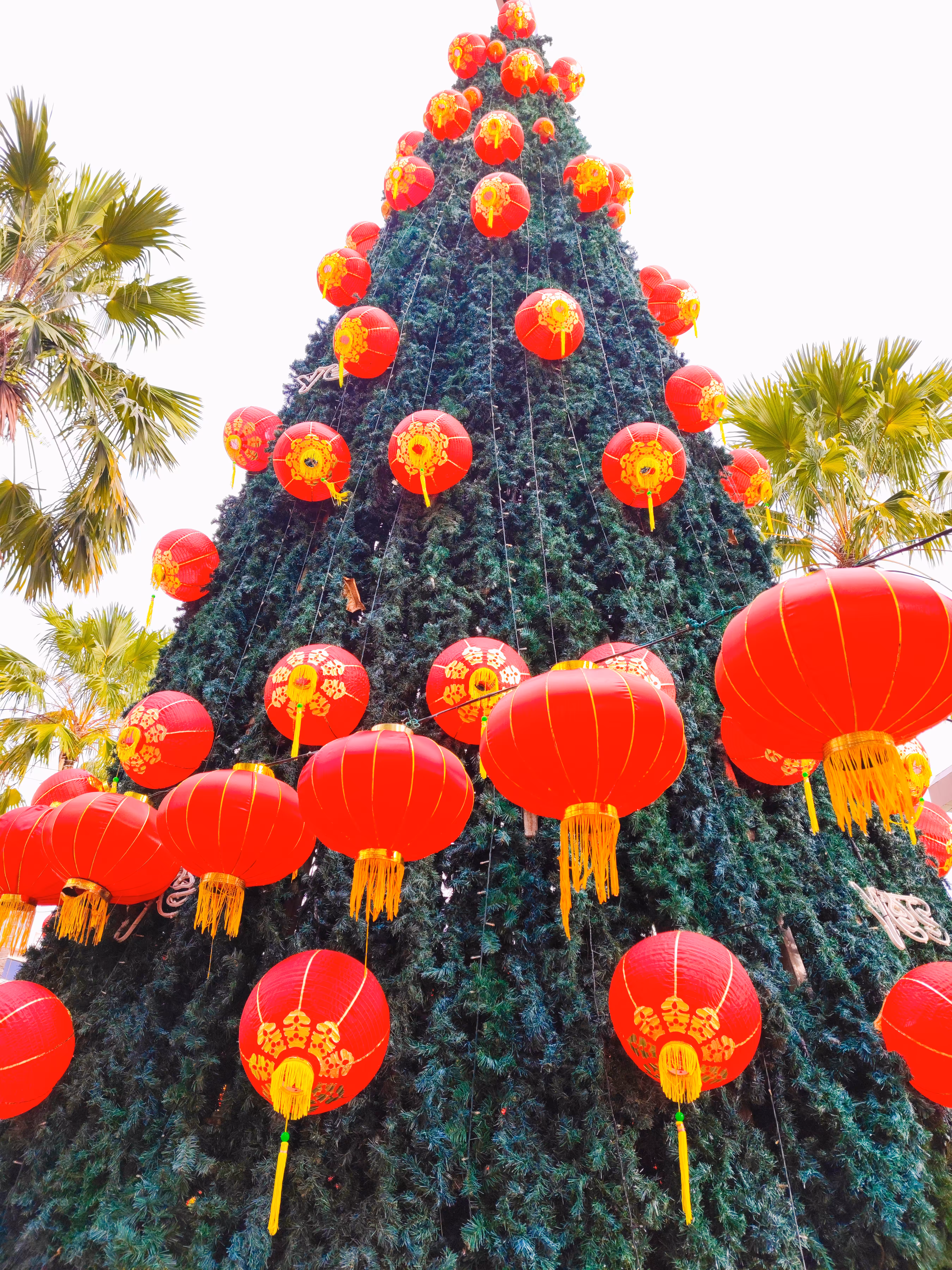 Tang Lung Christmas