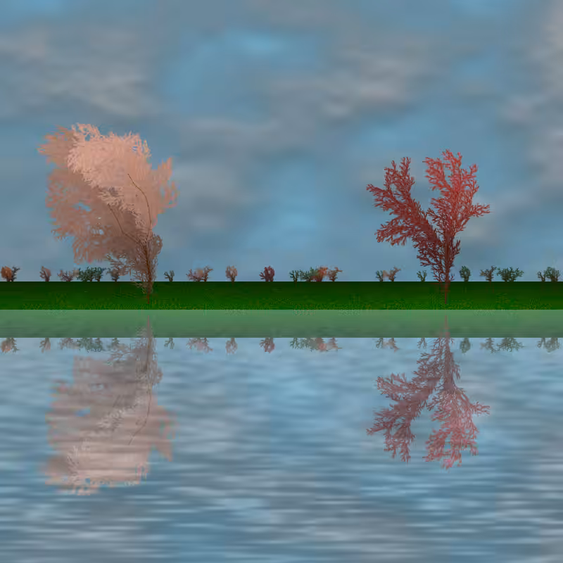 The dancing grove #46