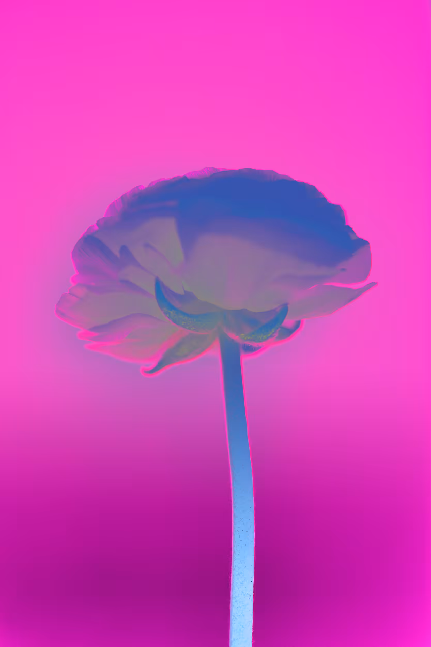 FLBS_002