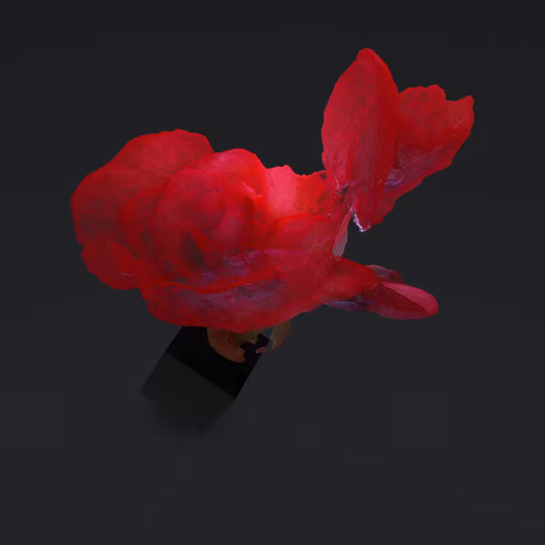 Just a flower