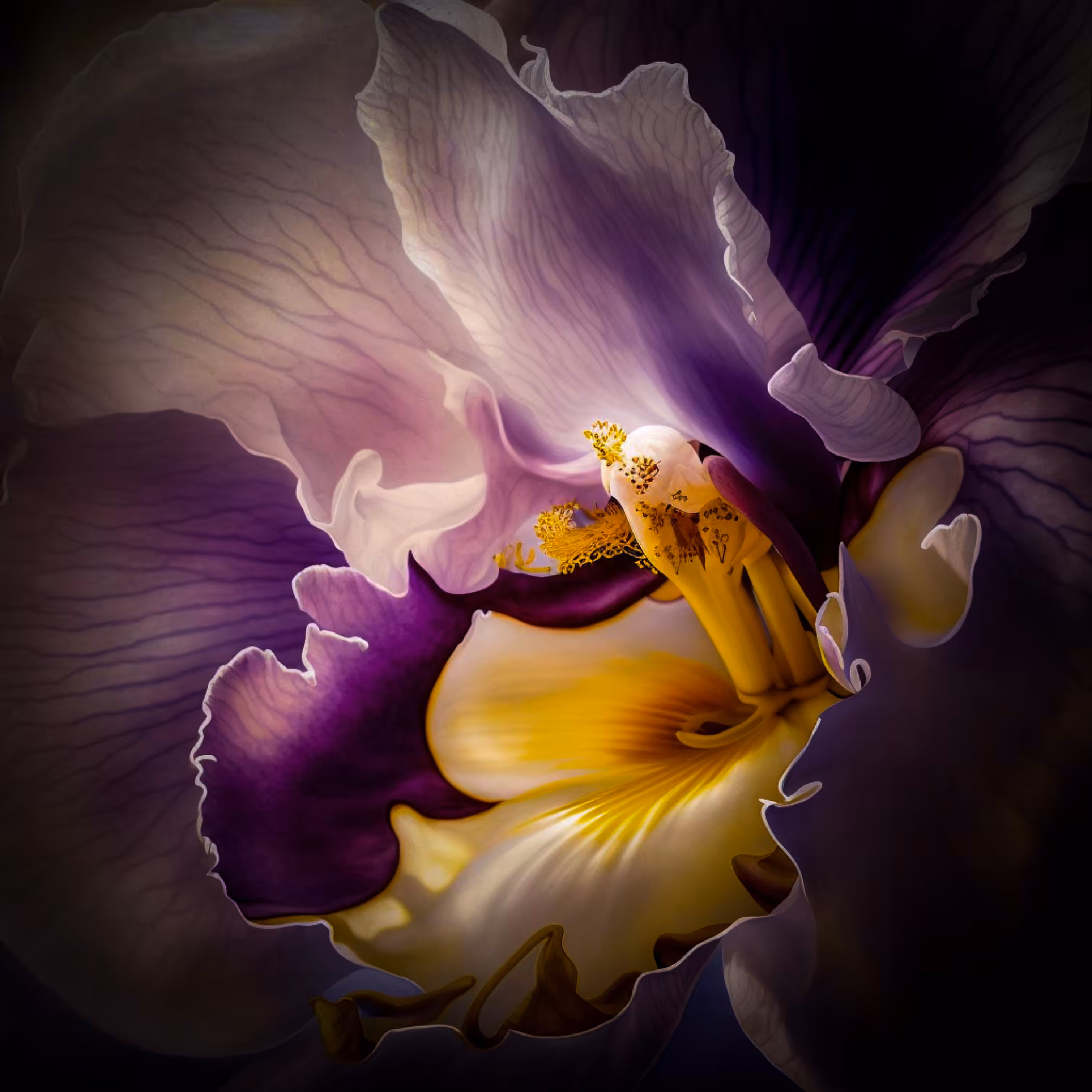 PURPLE BLOOM