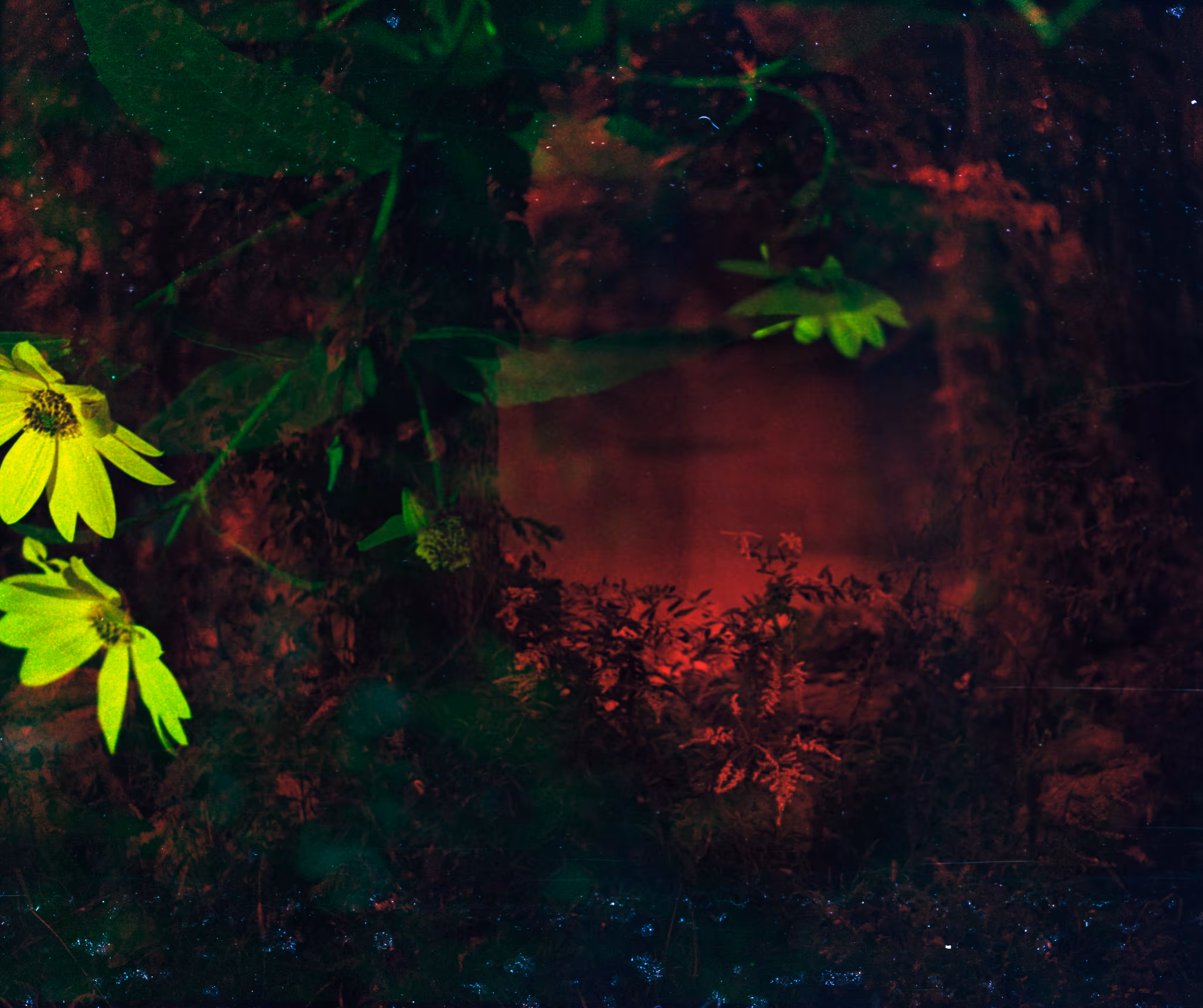 red faerie portal