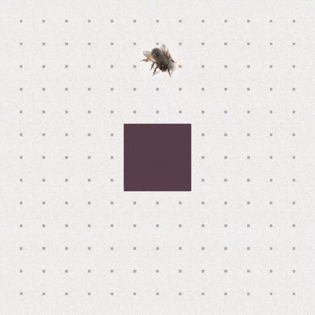 Bee #4