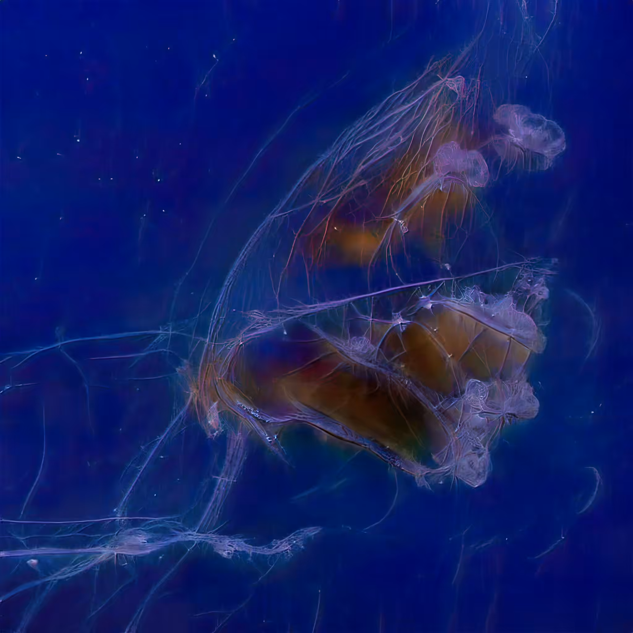 Chimerical Stories #254