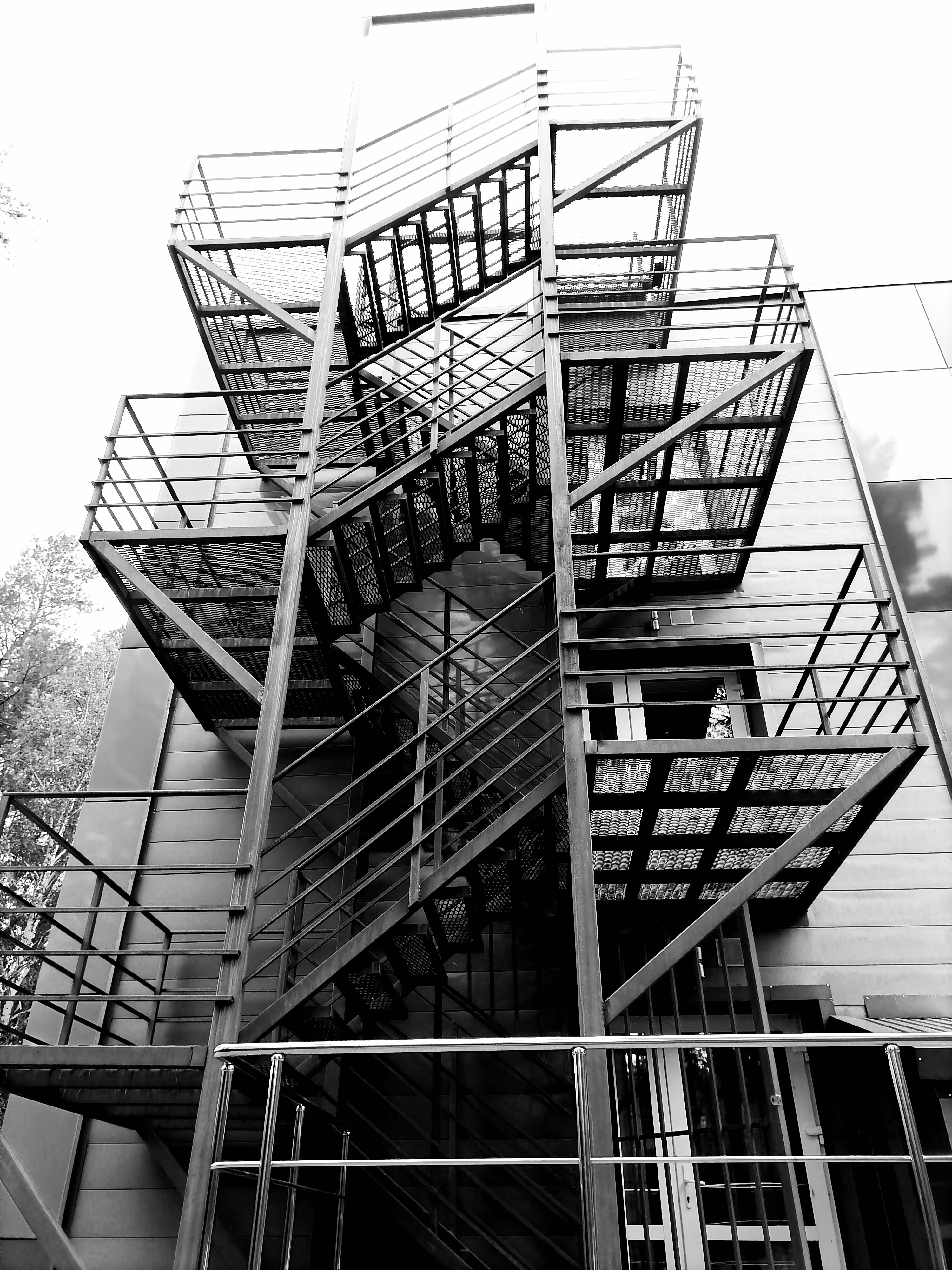 The Ladder of Life