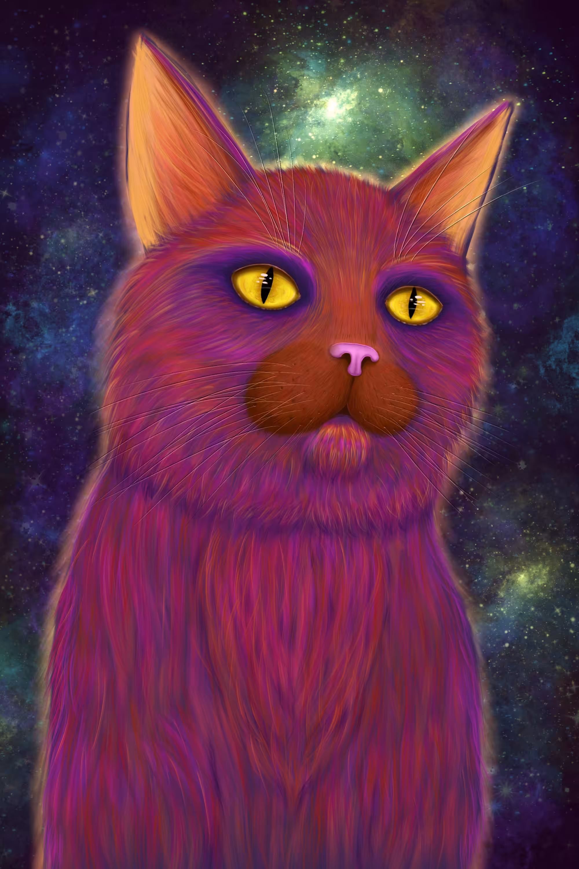 Space cat Splash