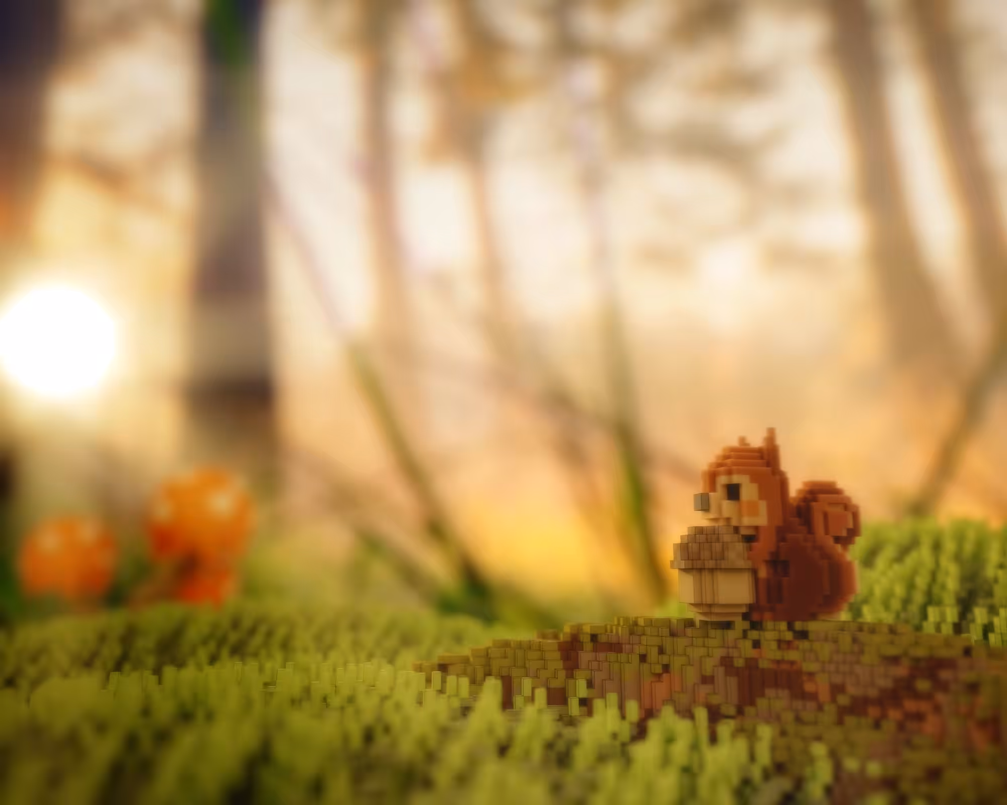 Life of a Squirrel